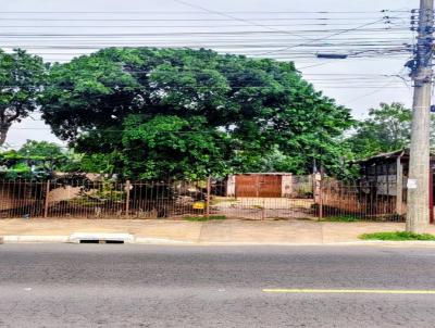 Terreno para Venda, em Canoas, bairro Mathias Velho