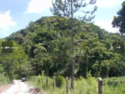 Terreno para Venda, em S�o Paulo, bairro 