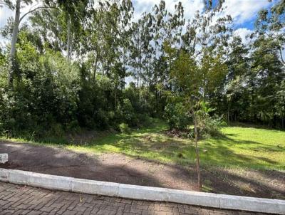 Terreno para Venda, em Port�o, bairro Rinc�o do Cascalho