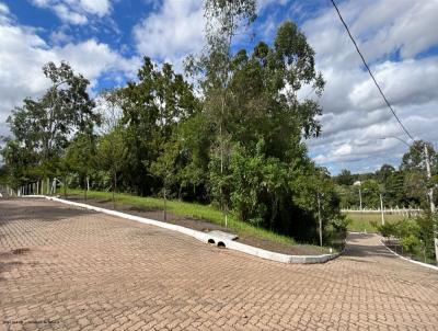 Terreno para Venda, em Port�o, bairro Rinc�o do Cascalho