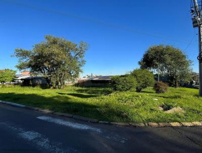 Terreno para Venda, em Port�o, bairro Centro