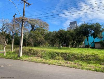 Terreno para Venda, em Port�o, bairro Centro