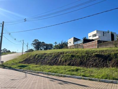 Terreno para Venda, em Port�o, bairro San Ciro