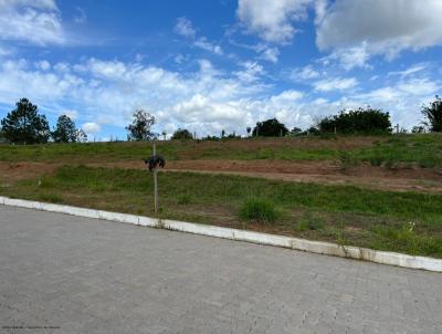 Terreno para Venda, em Capela de Santana, bairro S�o Lucas