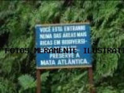 Compensa��o Ambiental para Venda, em S�o Bernardo do Campo, bairro CURUCUTU - P�S BALSA - S�O BERNARDO DO CAMPO