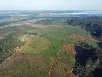 Fazenda para Venda, em Sorriso, bairro PROXIMO BOA ESPERAN�A DO NORTE MT