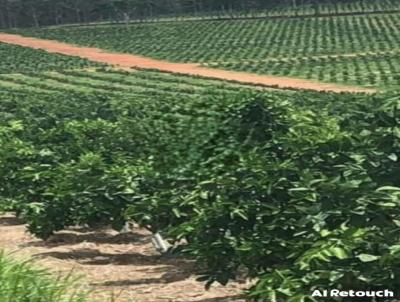 Fazenda para Venda, em Campinas, bairro INTERIOR DO MUNIC�PIO
