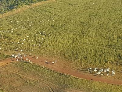 Fazenda para Venda, em �gua Boa, bairro INTERIOR DO MUNIC�PIO