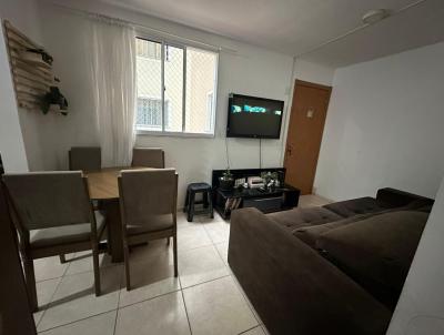 Apartamento para Venda, em Palho�a, bairro Bela Vista, 2 dormit�rios, 1 banheiro, 1 vaga