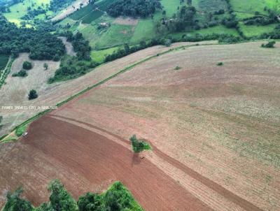 Fazenda para Venda, em El�i Mendes, bairro 