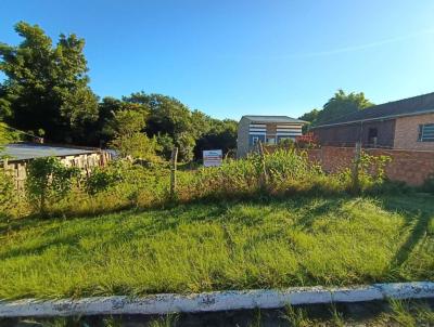 Terreno para Venda, em Santana do Livramento, bairro Centro