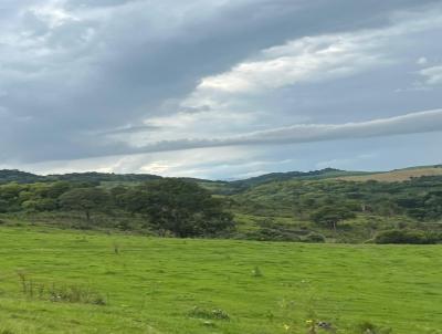 Fazenda para Venda, em Chopinzinho, bairro INTERIOR DO MUNIC�PIO