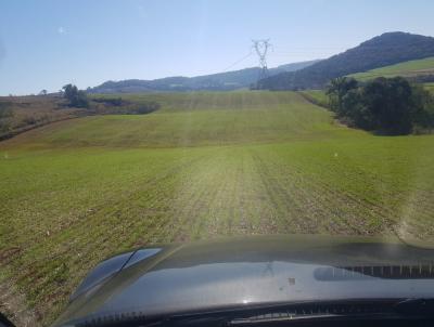 Fazenda para Venda, em Hon�rio Serpa, bairro INTERIOR DO MUNIC�PIO