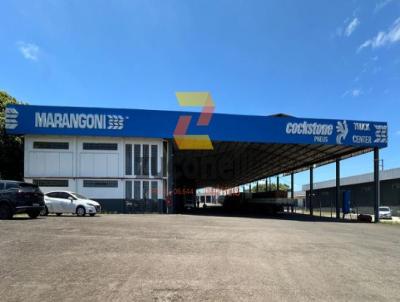 Barrac�o para Loca��o, em Guarapuava, bairro Vila Carli