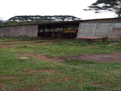 Fazenda para Venda, em Prudent�polis, bairro ENTRE GUARAPUAVA E PRUDENT�POLIS