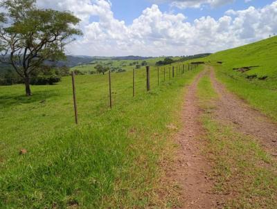 Fazenda para Venda, em Laranjeiras do Sul, bairro INTERIOR DO MUNIC�PIO
