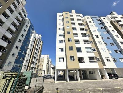 Apartamento para Venda, em Palho�a, bairro Pedra Branca, 2 dormit�rios, 1 banheiro, 1 vaga
