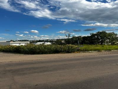 Terreno para Venda, em Ven�ncio Aires, bairro Santa Tecla