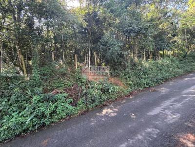 Terreno para Venda, em S�o Paulo, bairro Laranjeiras