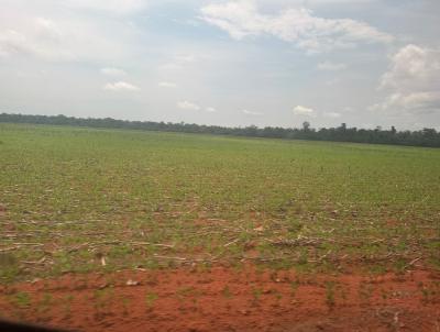 Fazenda para Venda, em Cl�udia, bairro INTERIOR DO MUNIC�PIO