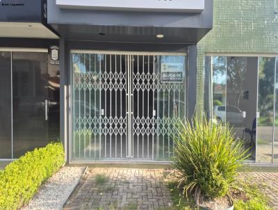 Loja Comercial para Loca��o, em S�o Jos� dos Pinhais, bairro Centro, 1 banheiro