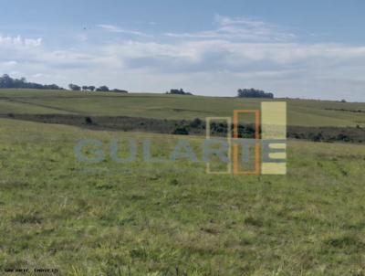 Fazenda para Venda, em S�o Vicente do Sul, bairro Distrito