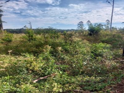 Fazenda para Venda, em Guarapuava, bairro INTERIOR DO MUNIC�PIO.