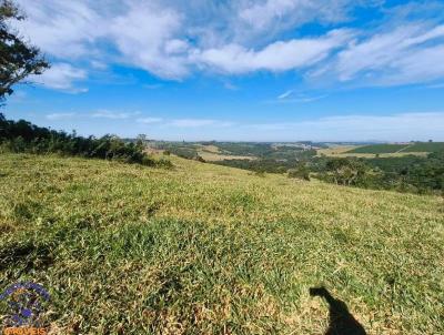 Fazenda para Venda, em Paragua�u, bairro Lagoinha