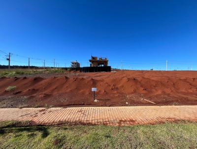 Terreno para Venda, em Guarapuava, bairro Morro Alto