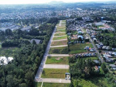 Loteamento para Venda, em Gravata�, bairro Mato Alto