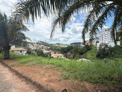 Lote para Venda, em Vi�osa, bairro INCONFIDENCIA