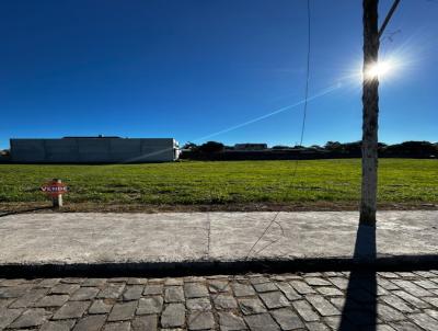 Terreno para Venda, em Ven�ncio Aires, bairro Avia��o