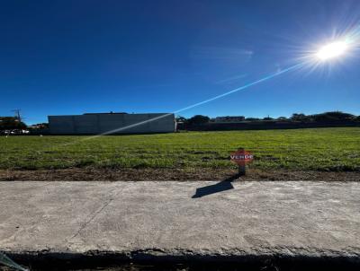 Terreno para Venda, em Ven�ncio Aires, bairro Avia��o