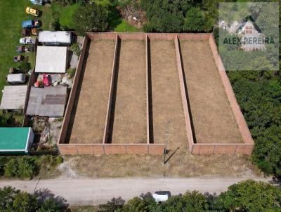 Terreno para Venda, em Piraquara, bairro Planta Terezinha