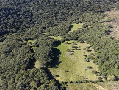 �rea Rural para Venda, em Vacaria, bairro Fazenda da Estrela