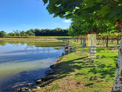 Fazenda para Venda, em Garibaldi, bairro Distrito