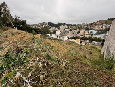 Lote para Venda, em Vi�osa, bairro INCONFIDENCIA