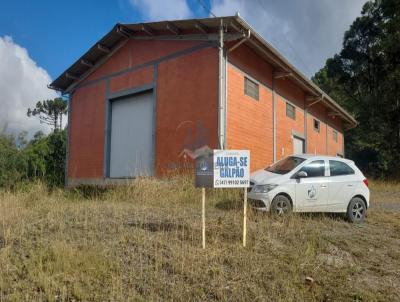 Galp�o para Loca��o, em Pi�n, bairro CAMPINA DOS MAIA