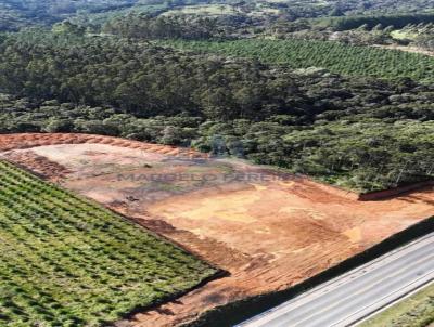 Terreno para Venda, em S�o Bento do Sul, bairro LEN�OL