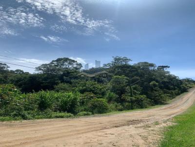 Terreno para Venda, em Rio Negrinho, bairro Vila Nova