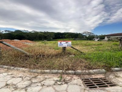 Terreno para Venda, em Paulo Lopes, bairro Freitas