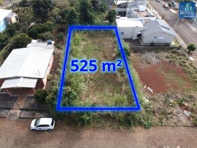 Terreno Residencial para Venda, em Erechim, bairro Agr�cola