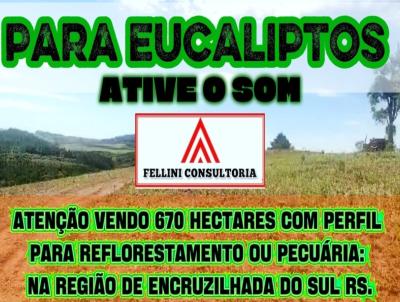 Fazenda para Venda, em Encruzilhada do Sul, bairro INTERIOR