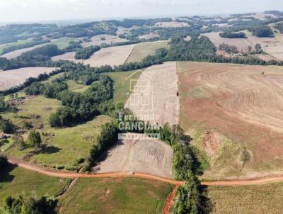 �rea Rural para Venda, em Tuparendi, bairro Ramos