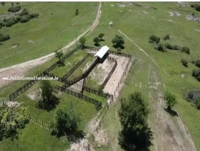 Fazenda para Venda, em Pinheiro Machado, bairro INTERIOR