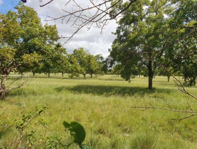Fazenda para Venda, em Viam�o, bairro INTERIOR