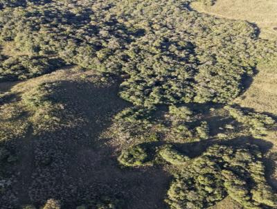�rea Rural para Venda, em Vacaria, bairro Capela Santa Luzia, Refugiado