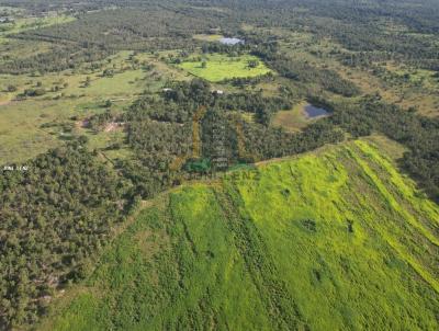 Fazenda para Venda, em Nossa Senhora do Livramento, bairro 