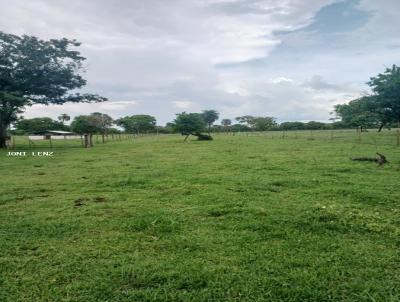 Fazenda para Venda, em Nossa Senhora do Livramento, bairro 
