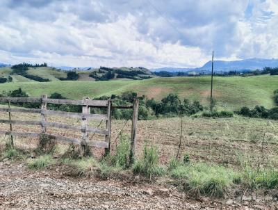 Fazenda para Venda, em C�ndido de Abreu, bairro INTERIOR DO MUNIC�PIO